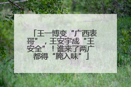 王一博变“广西表哥”，王安宇成“王安全”！谁来了两广都得“腌入味”