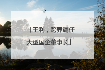 王利，跨界调任大型国企董事长