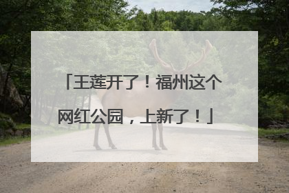 王莲开了！福州这个网红公园，上新了！