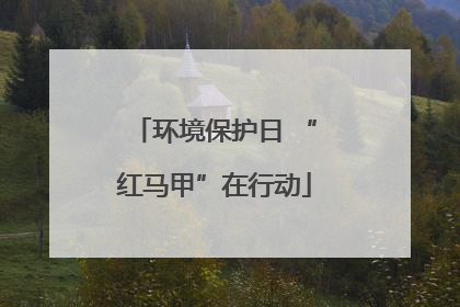 环境保护日 “红马甲”在行动