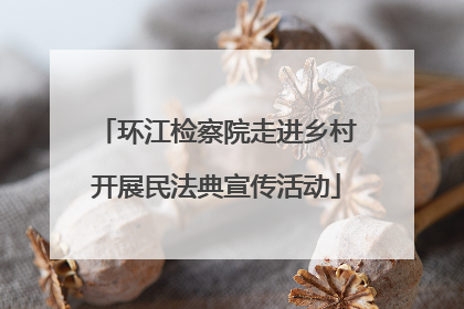 环江检察院走进乡村开展民法典宣传活动