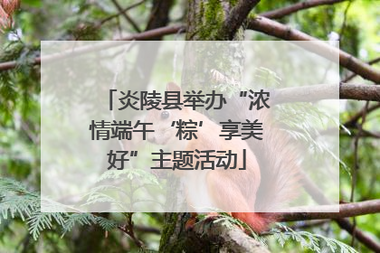 炎陵县举办“浓情端午‘粽’享美好”主题活动