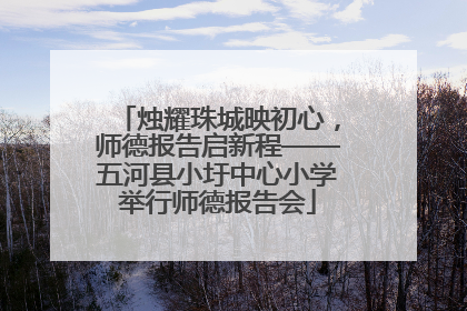 烛耀珠城映初心，师德报告启新程——五河县小圩中心小学举行师德报告会