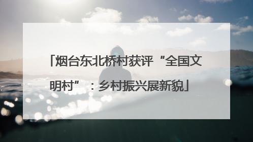 烟台东北桥村获评“全国文明村”：乡村振兴展新貌