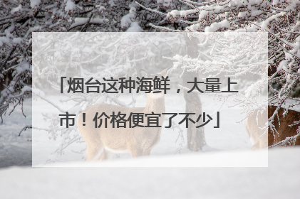 烟台这种海鲜，大量上市！价格便宜了不少