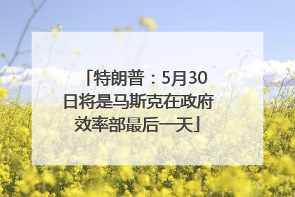 特朗普：5月30日将是马斯克在政府效率部最后一天