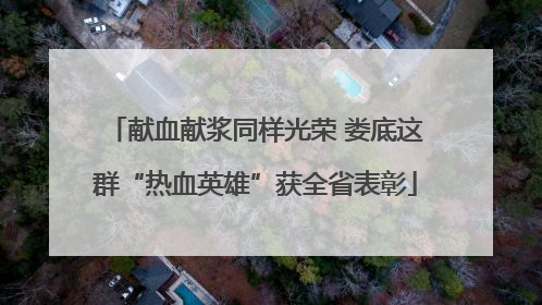 献血献浆同样光荣 娄底这群“热血英雄”获全省表彰