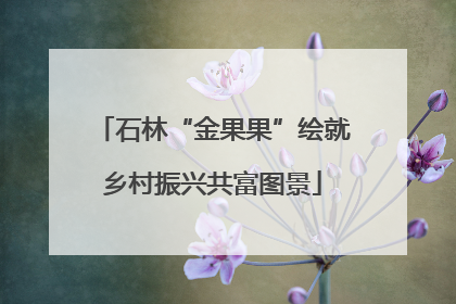 石林“金果果”绘就乡村振兴共富图景
