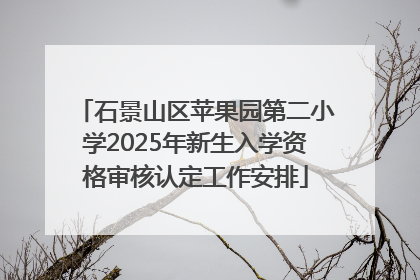 石景山区苹果园第二小学2025年新生入学资格审核认定工作安排