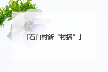 石臼村新“村播”