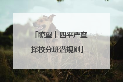 瞭望丨四平严查择校分班潜规则