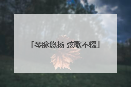 琴脉悠扬 弦歌不辍