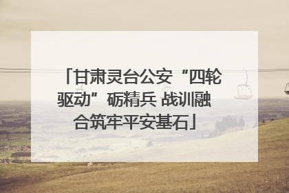 甘肃灵台公安“四轮驱动”砺精兵 战训融合筑牢平安基石