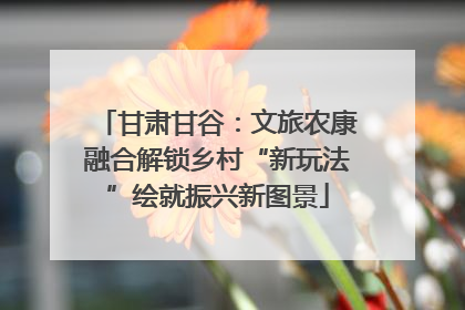 甘肃甘谷：文旅农康融合解锁乡村“新玩法”绘就振兴新图景