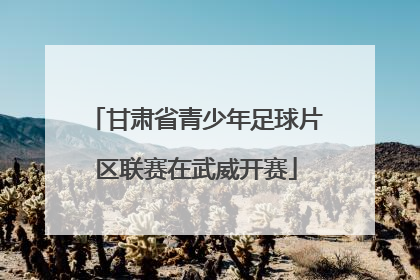 甘肃省青少年足球片区联赛在武威开赛