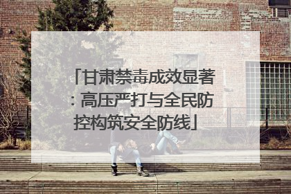 甘肃禁毒成效显著：高压严打与全民防控构筑安全防线