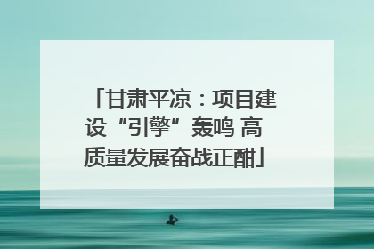 甘肃平凉：项目建设“引擎”轰鸣 高质量发展奋战正酣