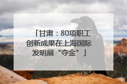 甘肃：80项职工创新成果在上海国际发明展“夺金”