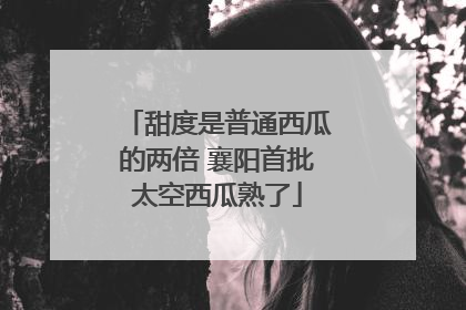 甜度是普通西瓜的两倍 襄阳首批太空西瓜熟了