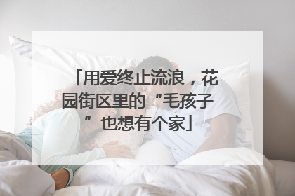 用爱终止流浪，花园街区里的“毛孩子”也想有个家