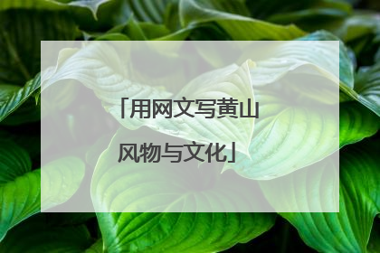 用网文写黄山风物与文化