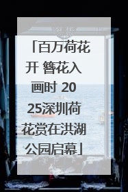 百万荷花开 簪花入画时 2025深圳荷花赏在洪湖公园启幕