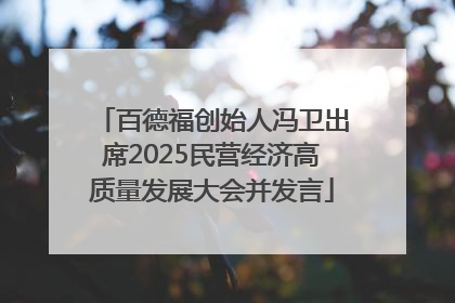 百德福创始人冯卫出席2025民营经济高质量发展大会并发言