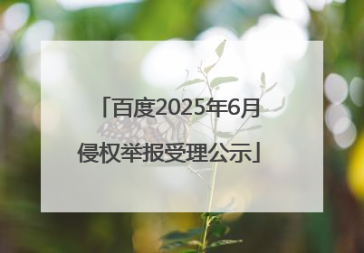 百度2025年6月侵权举报受理公示