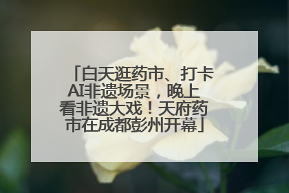 白天逛药市、打卡AI非遗场景，晚上看非遗大戏！天府药市在成都彭州开幕