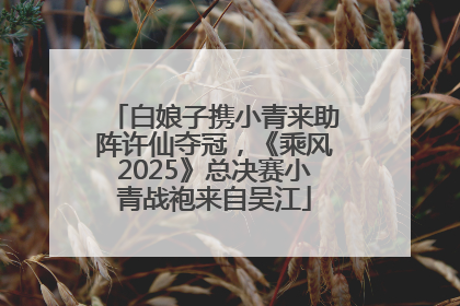 白娘子携小青来助阵许仙夺冠，《乘风2025》总决赛小青战袍来自吴江