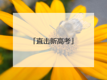 直击新高考