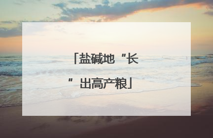 盐碱地“长”出高产粮