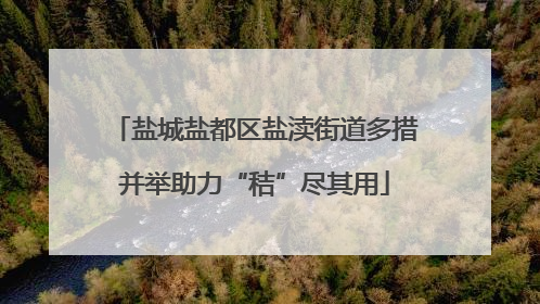 盐城盐都区盐渎街道多措并举助力“秸”尽其用