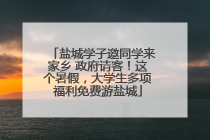 盐城学子邀同学来家乡 政府请客！这个暑假，大学生多项福利免费游盐城