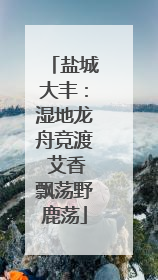 盐城大丰：湿地龙舟竞渡 艾香飘荡野鹿荡