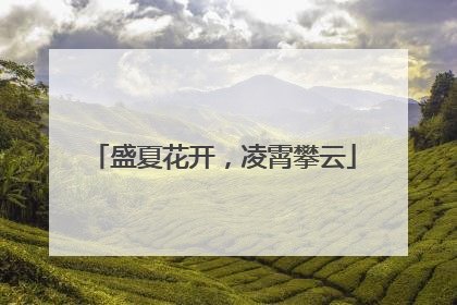 盛夏花开，凌霄攀云