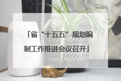 省“十五五”规划编制工作推进会议召开