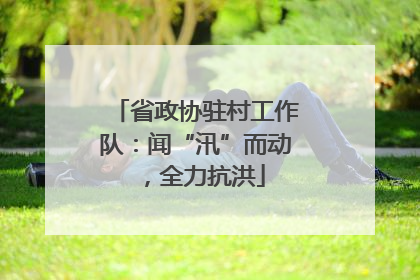 省政协驻村工作队：闻“汛”而动，全力抗洪