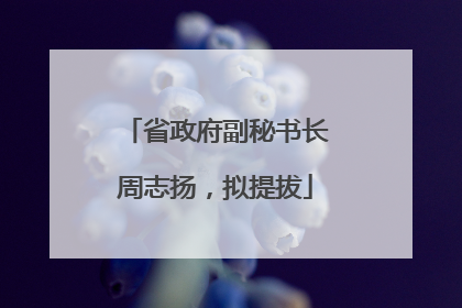 省政府副秘书长周志扬，拟提拔