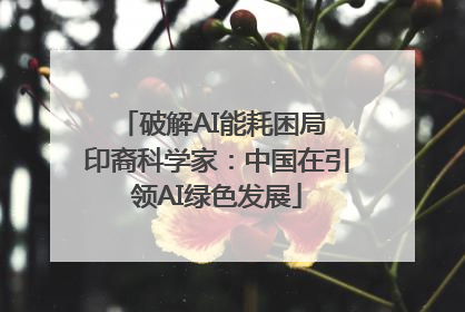 破解AI能耗困局 印裔科学家：中国在引领AI绿色发展