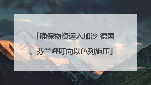 确保物资运入加沙 德国、芬兰呼吁向以色列施压