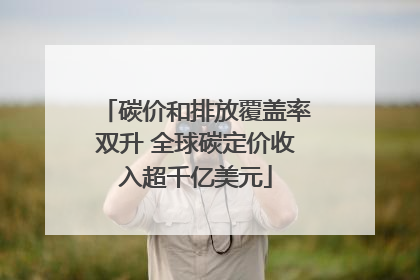 碳价和排放覆盖率双升 全球碳定价收入超千亿美元