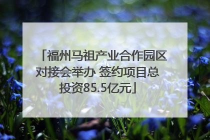 福州马祖产业合作园区对接会举办 签约项目总投资85.5亿元
