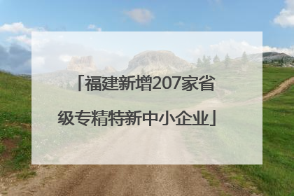 福建新增207家省级专精特新中小企业