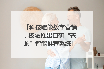 科技赋能数字营销，极融推出自研“苍龙”智能推荐系统