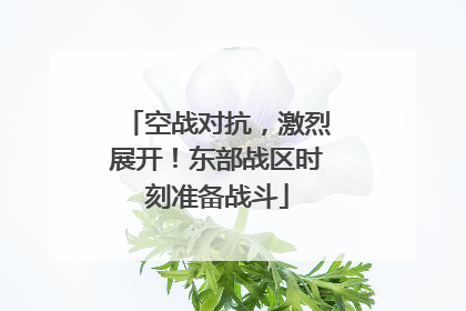 空战对抗，激烈展开！东部战区时刻准备战斗