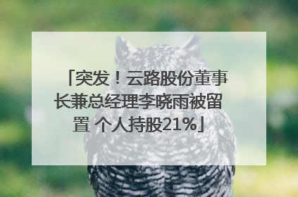 突发！云路股份董事长兼总经理李晓雨被留置 个人持股21%