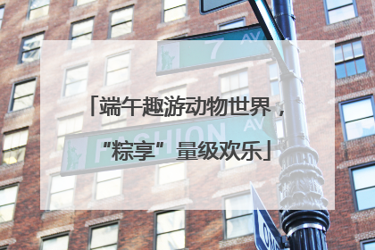 端午趣游动物世界，“粽享”量级欢乐