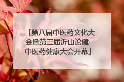 第八届中医药文化大会暨第三届沂山论健·中医药健康大会开幕