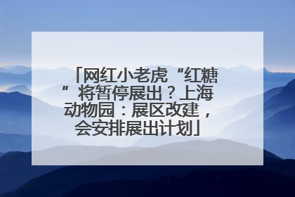 网红小老虎“红糖”将暂停展出？上海动物园：展区改建，会安排展出计划